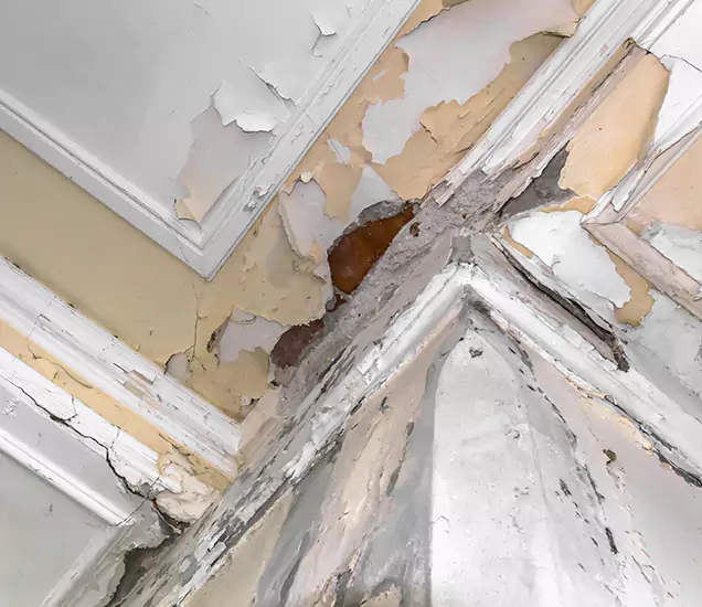 Repair Drywall Ceiling Water Damage in Dubai