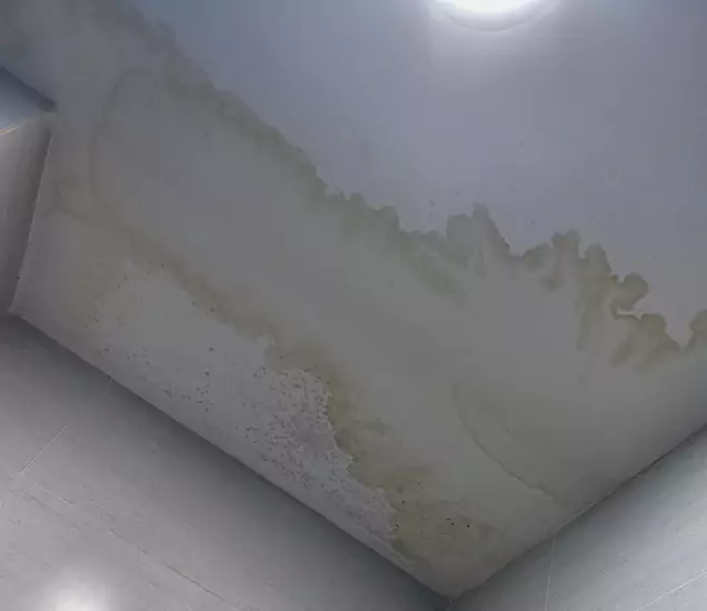 Repair Water Spot on Ceiling in Dubai